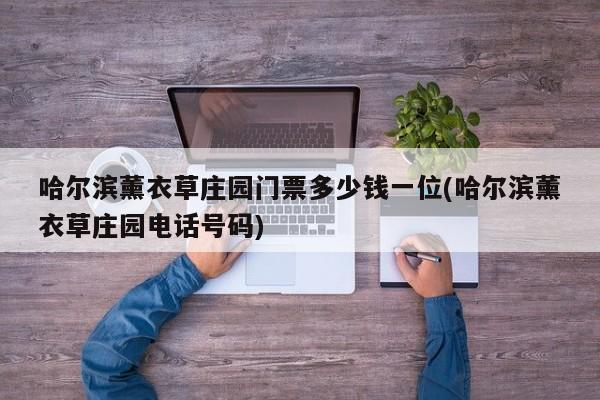 哈尔滨薰衣草庄园门票多少钱一位(哈尔滨薰衣草庄园电话号码)