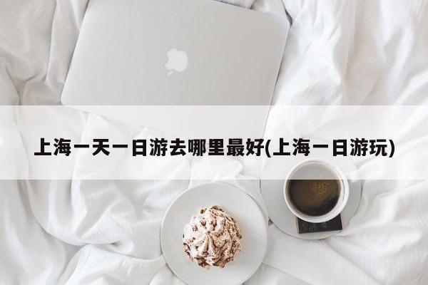 上海一天一日游去哪里最好(上海一日游玩) 第1张