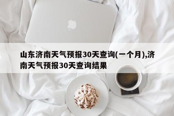 山东济南天气预报30天查询(一个月),济南天气预报30天查询结果 第1张