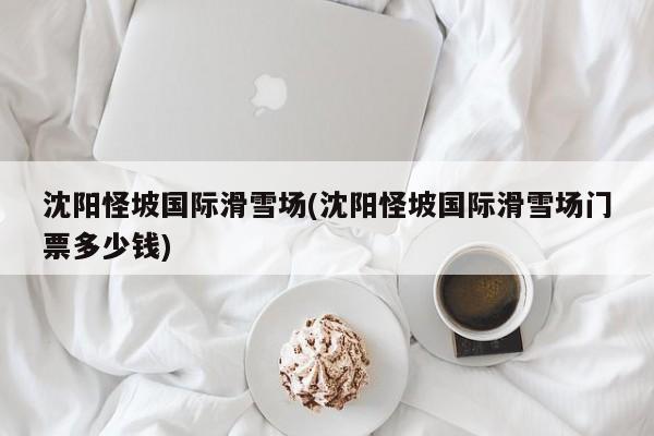 沈阳怪坡国际滑雪场(沈阳怪坡国际滑雪场门票多少钱)