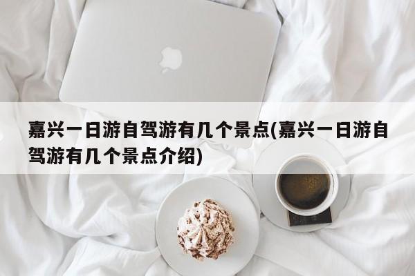 嘉兴一日游自驾游有几个景点(嘉兴一日游自驾游有几个景点介绍)