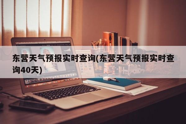 东营天气预报实时查询(东营天气预报实时查询40天) 第1张